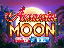 Casino game 13